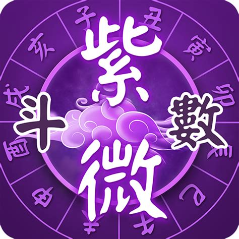 斗數|紫微斗數 ️紫微命盤